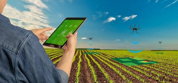 Sensoriamento na agricultura de precisão tablet na lavoura