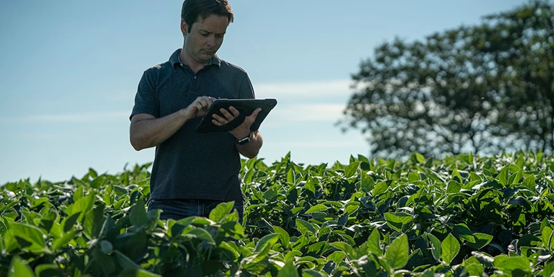 Software de agricultura digital na safrinha